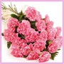 carnations